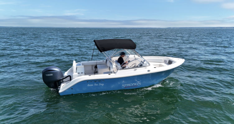 Cobia 220 DC