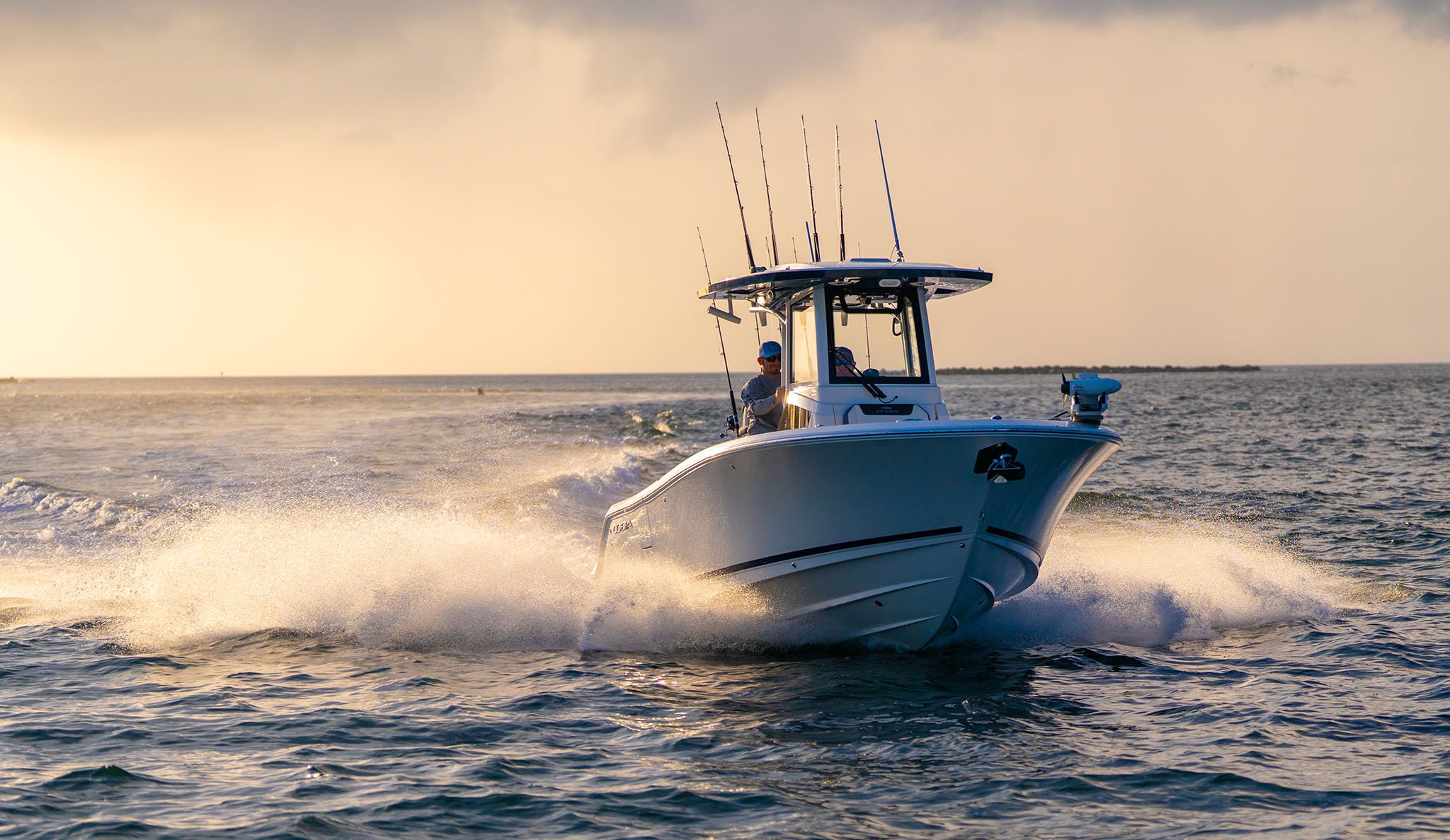 Cobia_245CC_northeast-boating-strongs-marine