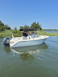 IMG_0318