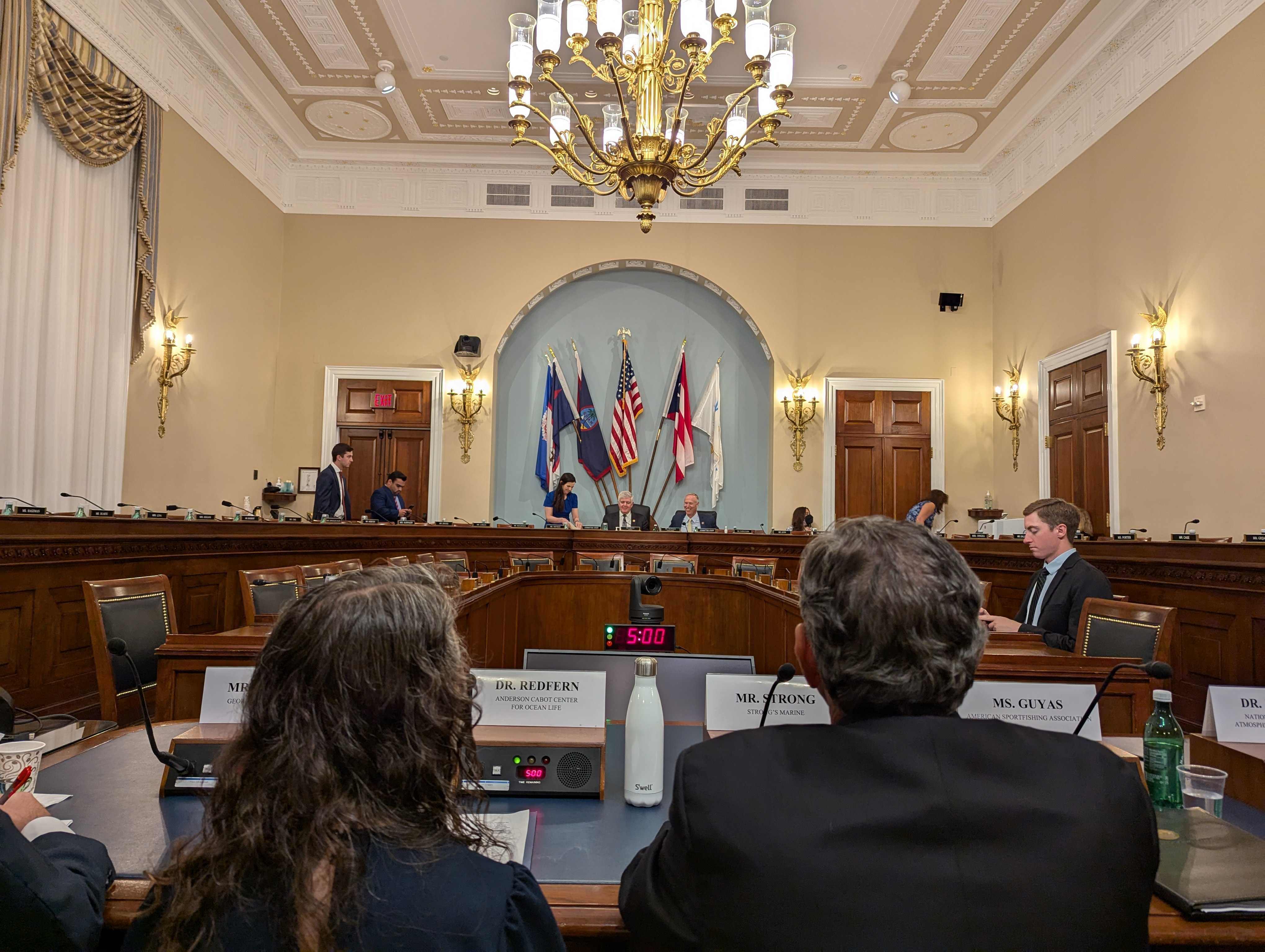 MRAA_Chair_JeffStrong_Testimony