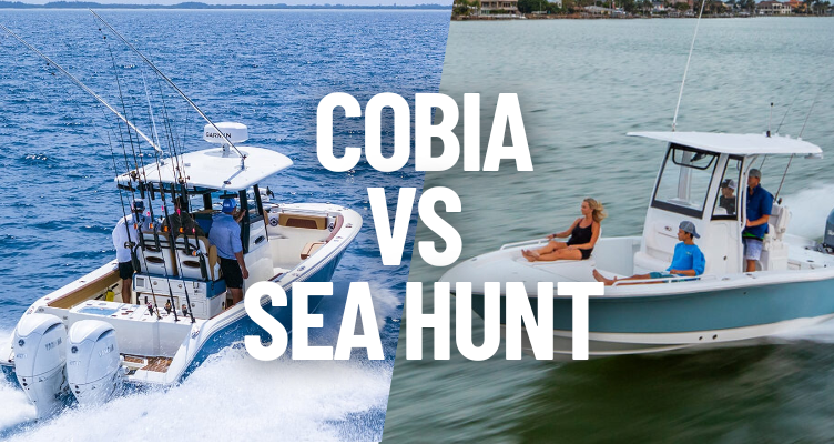 Cobia Compared to Sea Hunt